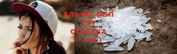 сатива Баксан