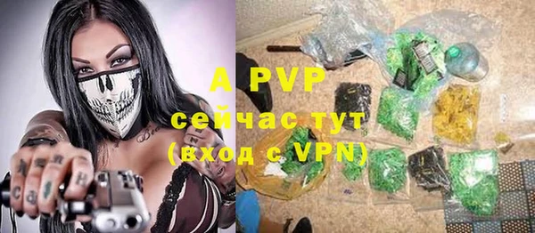 сатива Баксан