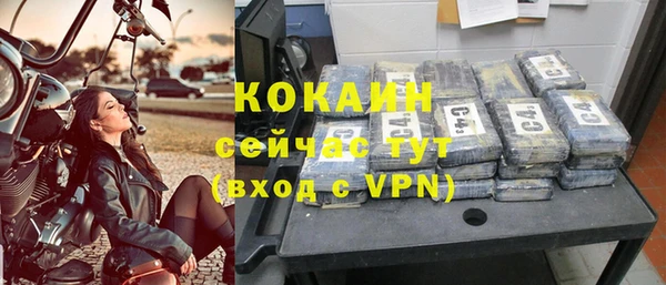 сатива Баксан
