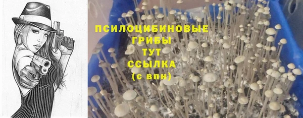 сатива Баксан